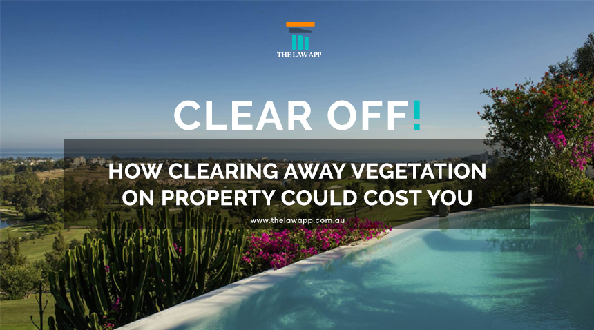 Clear off! How Vegetation Clearing on Property Could Cost You